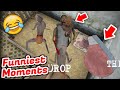 Funniest moments 😂😂 | Granny chapter 2