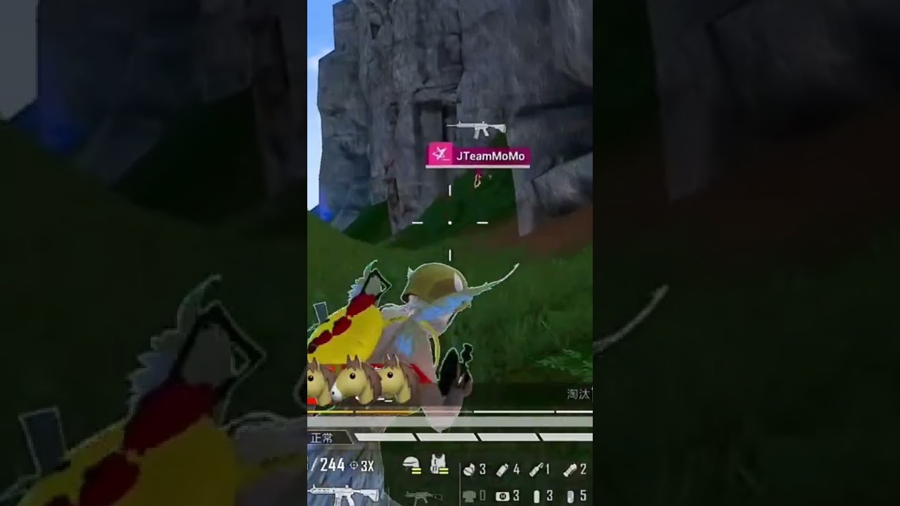 PEL Player funny moment 