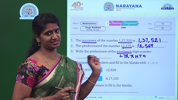 METROS Maths Assignment Video Class IV Day 11