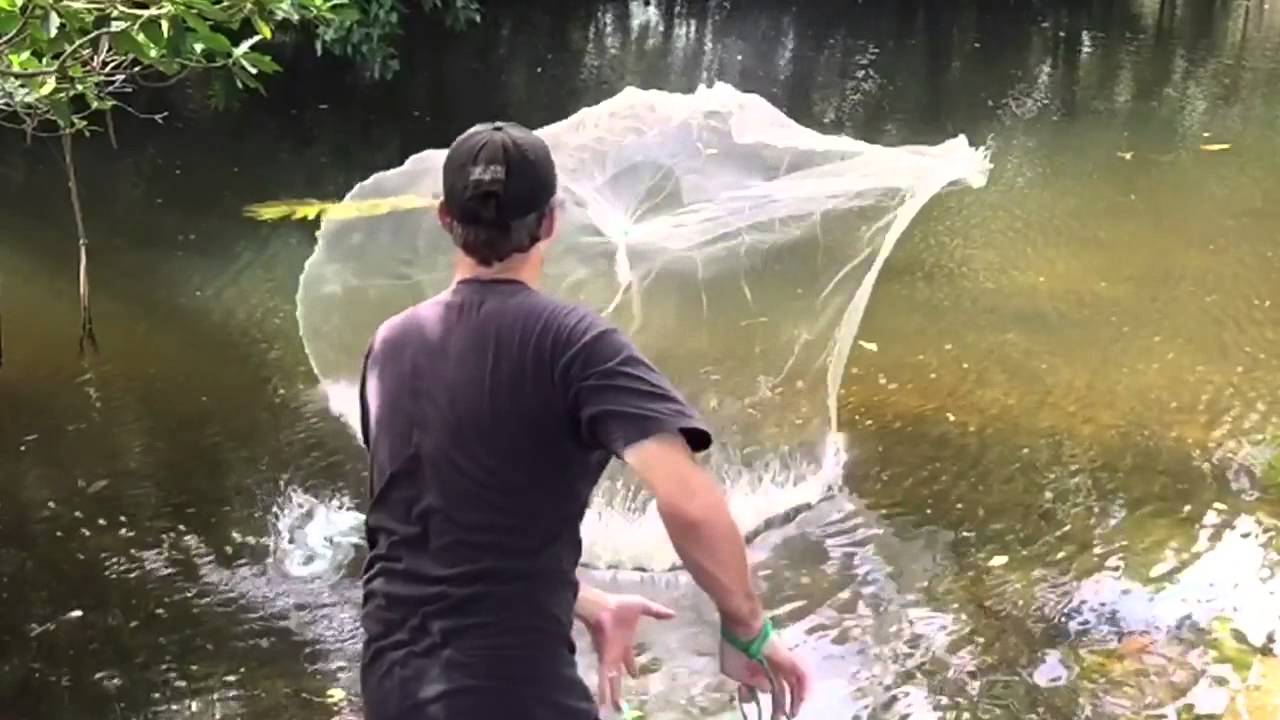 Cast Netting Mullet Slow Motion (240 FPS) YouTube