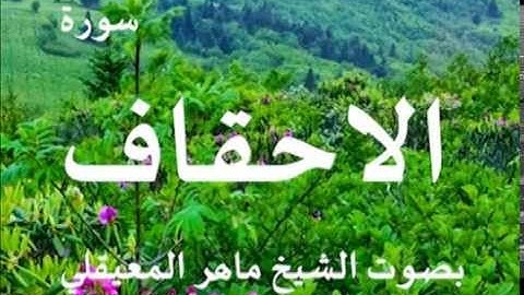 سورة الاحقاف بصوت الشيخ / ماهر المعيقلي 46