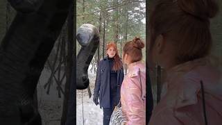 Anaconda Attack😱🐍|| Jashvi Vishvi || #shorts #youtubeshorts #trending #viral #anaconda