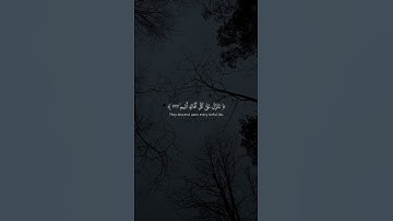 Surah Ash-Shu'ara 221-224 سورة الشعراء @NoCreditQuranOverlay