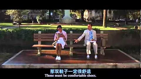 電影天堂www dygod net 阿甘正傳 中英雙字 1024分辨率 - 天天要聞