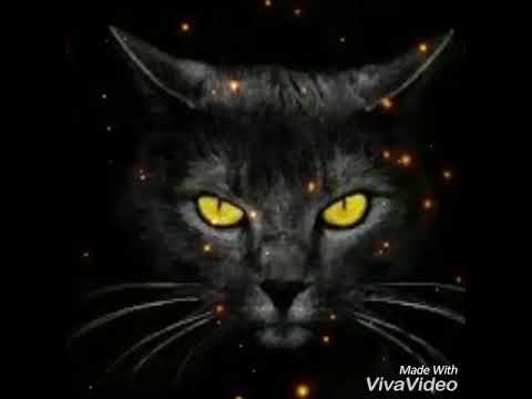 BLUKUTUK-NGERAP-RAIHMU KOYO GARPU (Lyric)