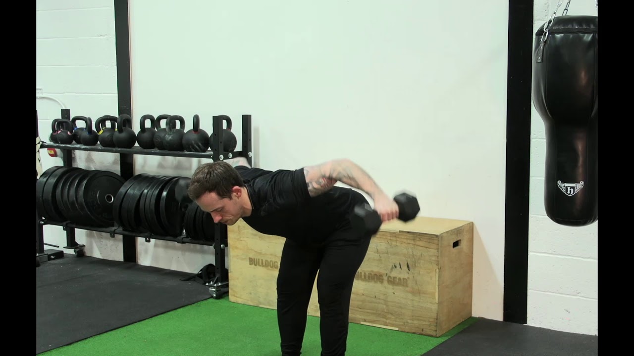 Dumbbell bent over lateral raise - YouTube