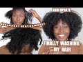 I CANT REMEMBER THE LAST TIME I WASHED MY HAIR... REALISTIC HAIR UPDATE + WASH DAY