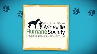 Find Your Forever Friend at the AHS Today!