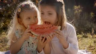 10 Ways Vegans Are Ruining The World Alltime10S