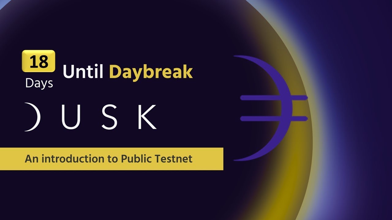 DUSK Network Testnet! Why I'm So Bullish!