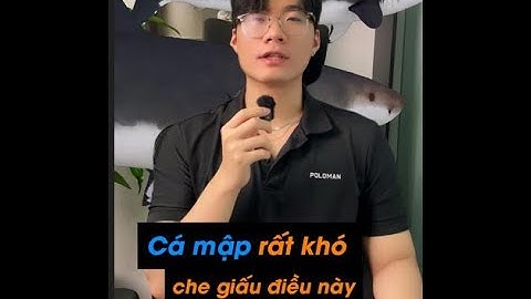 Cá mập có thể điều hướng giá, nhưng không thể giấu volume! #trading #forex #crypto #volume #vsanime