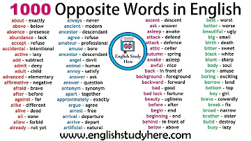 Jaké je antonymum slova &quot;den před&quot;?