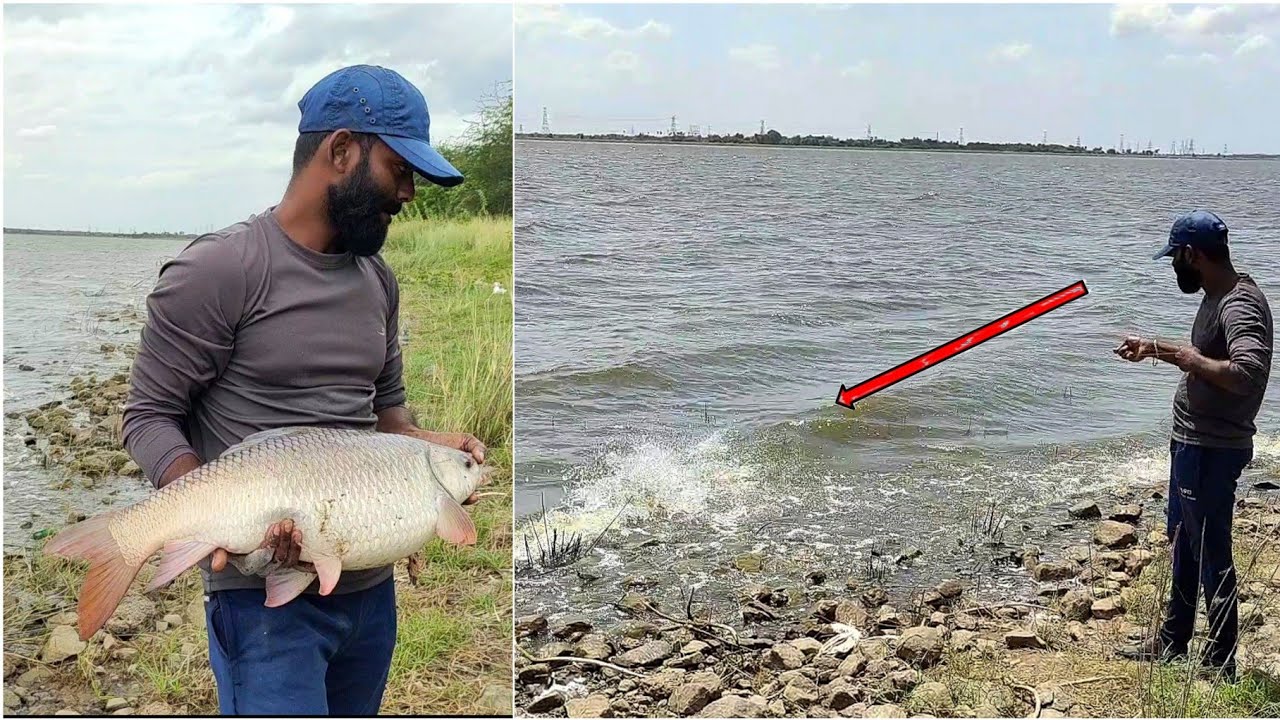 Incredible Rohu Fish Caught by Chennai fisherman Rohu fishing video