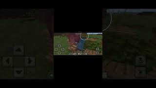 granja de experiencia