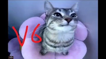 Nextbots rng inv check (6)