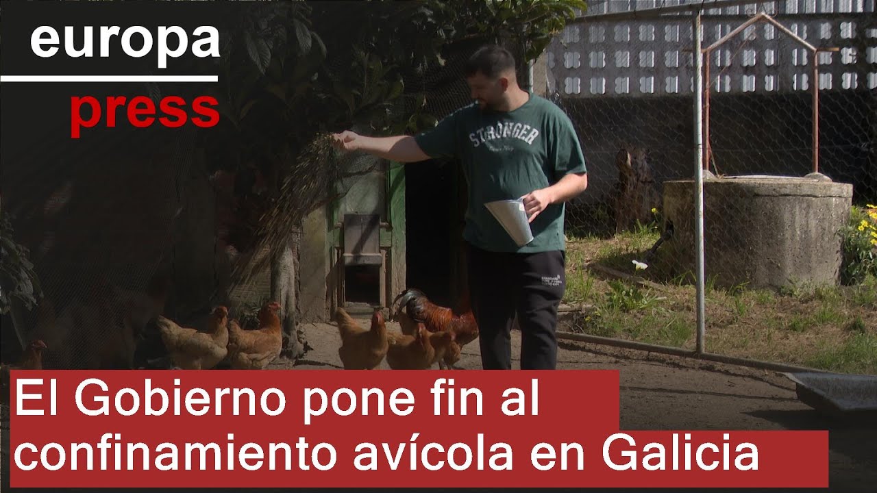 Carlos López, de Avicultura A Senra: "El fin del confinamiento permite aumentar la calidad"