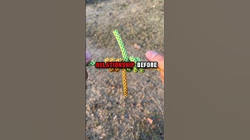 Divorce lawyers, what is the most shocking reason your client filed for divorce?#reddit #story