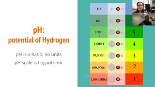 Fireside Chat: Beer pH & TA - Dropping Acid