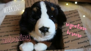 webkinz signature bernese mountain dog