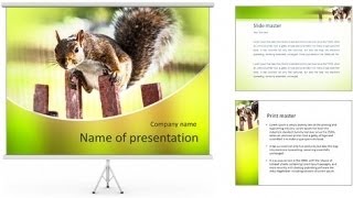 Squirrel