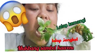 Mukbang Sama Sambel Cabe Setan Perut Sakit.... Lelasky Channel