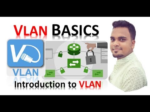 What is VLAN? VLAN concepts