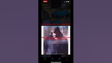 Another photo of bg I had saved from early on in the case, source is no longer online. #delphi