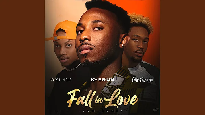 Fall In Love [EDM Remix]