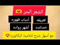 الشعر الحر تعريفه أسماؤه أسباب ظهوره خصائصه أشهر رواده بأبسط شرح 