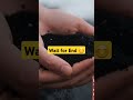 निर्माण के लिए कौन सी रेत अच्छी है?River Sand/ M.Sand/ Stone Dust #tranding #viralreels #viral