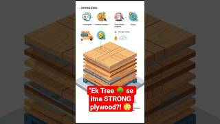 Plywood Kaise Banta Hai? 😲#shorts #ai