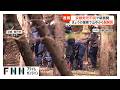 京都・行方不明の小学生のものとみられる靴発見 12日の捜索で山の中から見つかる(2026年04月12日)