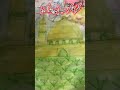 IMG 5567