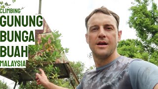 Download Lagu Gunung Bunga Buah - Day Hike Near Genting Highlands, an hour from Kuala Lumpur MP3