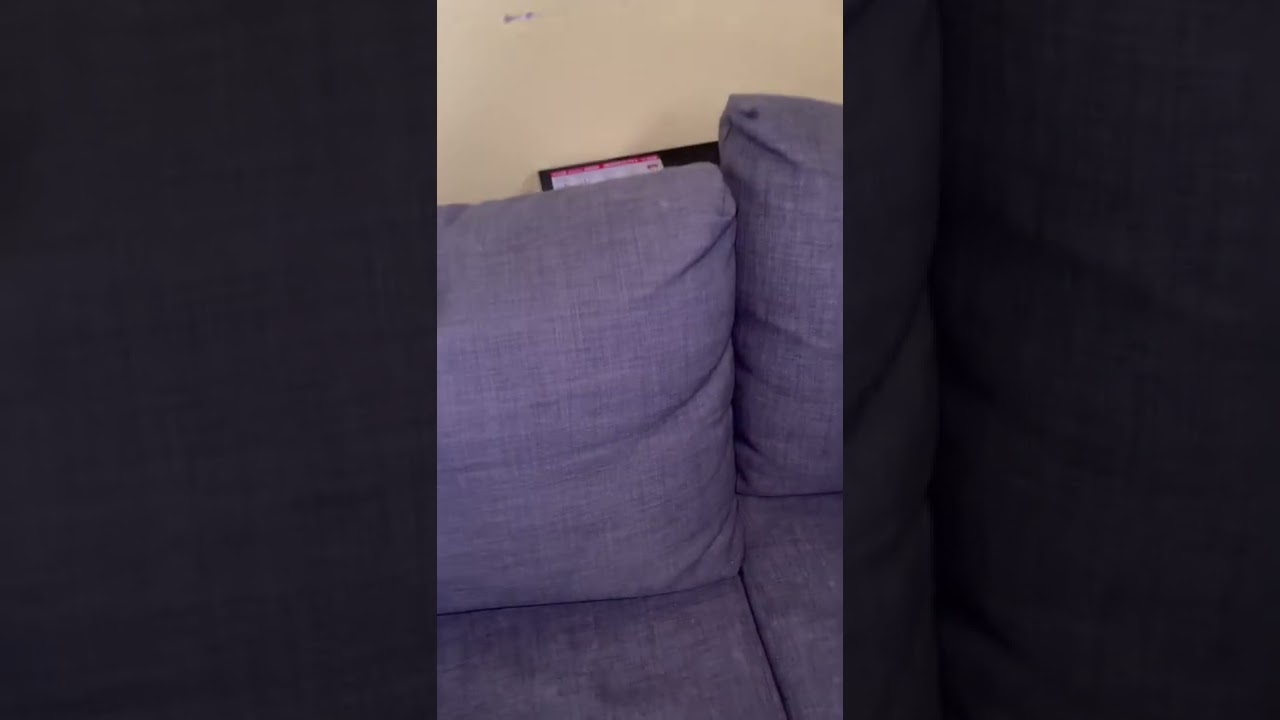 Finding a large snake in a couch 