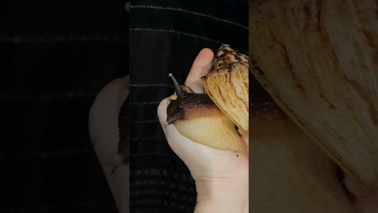 van zo klein....naar zo groot 