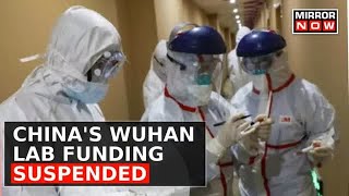 Famous Wuhan Lab Funding Suspended: Unraveling the COVID-19 Origin Mystery? | Mirror Now Debate Net Worth