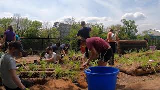 Floating Garden Installation Recap from Urban Rivers