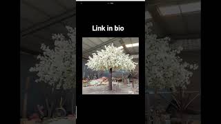 plain white floor → dramatic cherry blossom tree with warm lighting