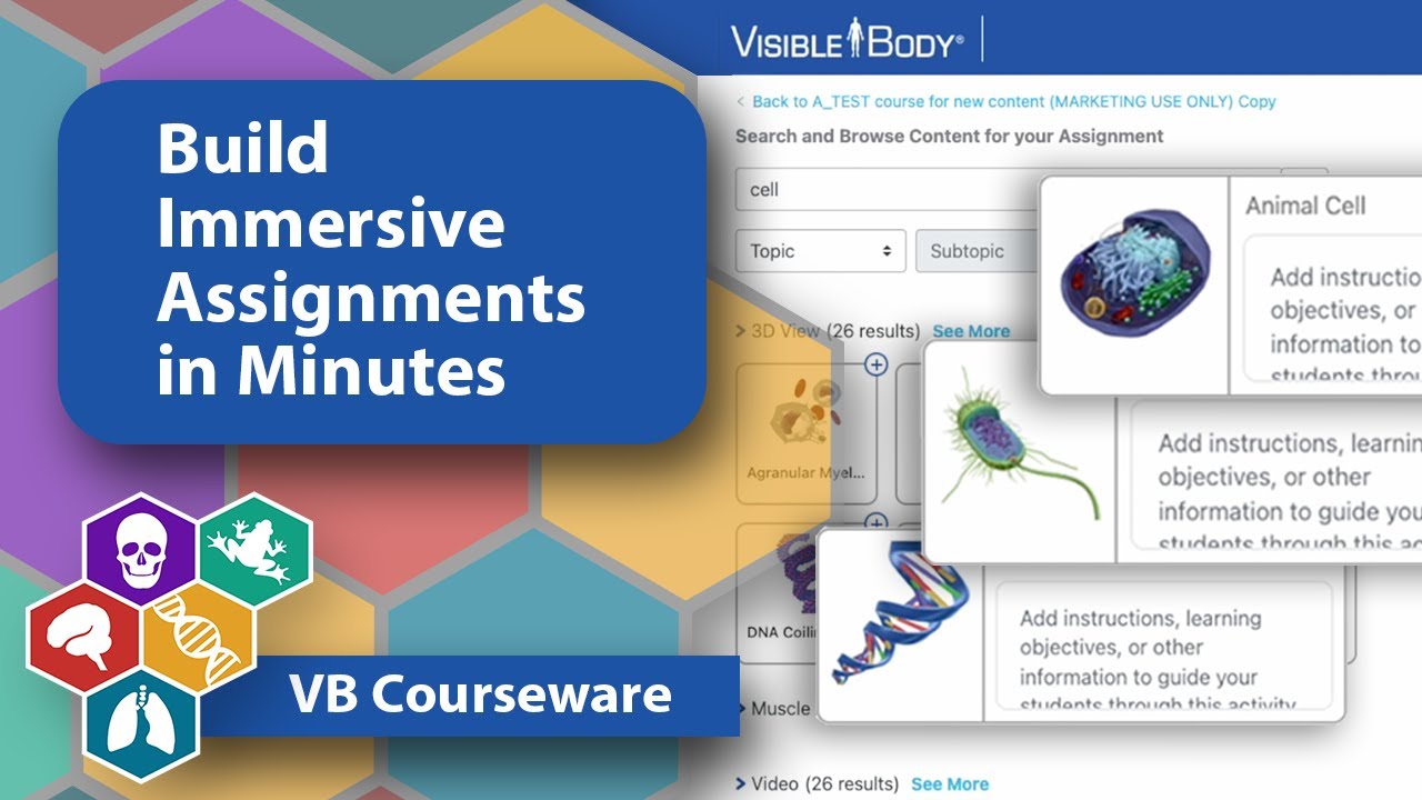 Build Immersive Assignments in Minutes with VB Courseware - YouTube