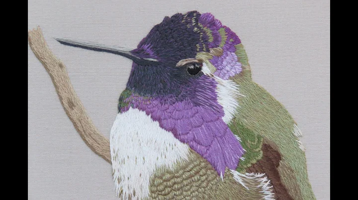 Teacher Joyce Houck's Class 403: Costa's Hummingbi...
