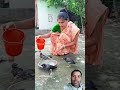 Should we keep plenty of water for birds during the summer season? #shortsviral #ytshortsindia