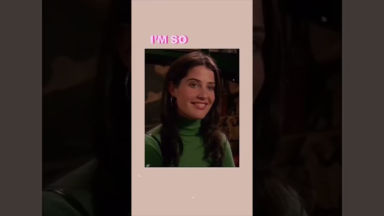 How I Met Your Mother Robin and Ted 