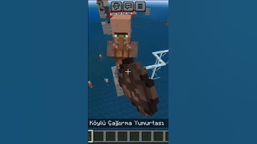 MINECRAFT : VINDICATOR IQ TEST 🤯 WAIT FOR END.. #minecraft #shorts