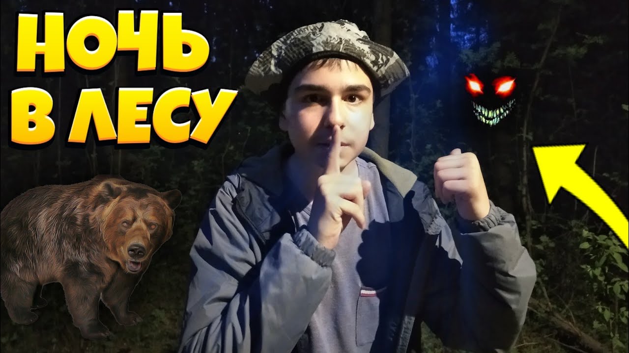 НОЧЬ В ОГРОМНОМ ГУСТОМ ЛЕСУ ! ВЛОГ ) - YouTube