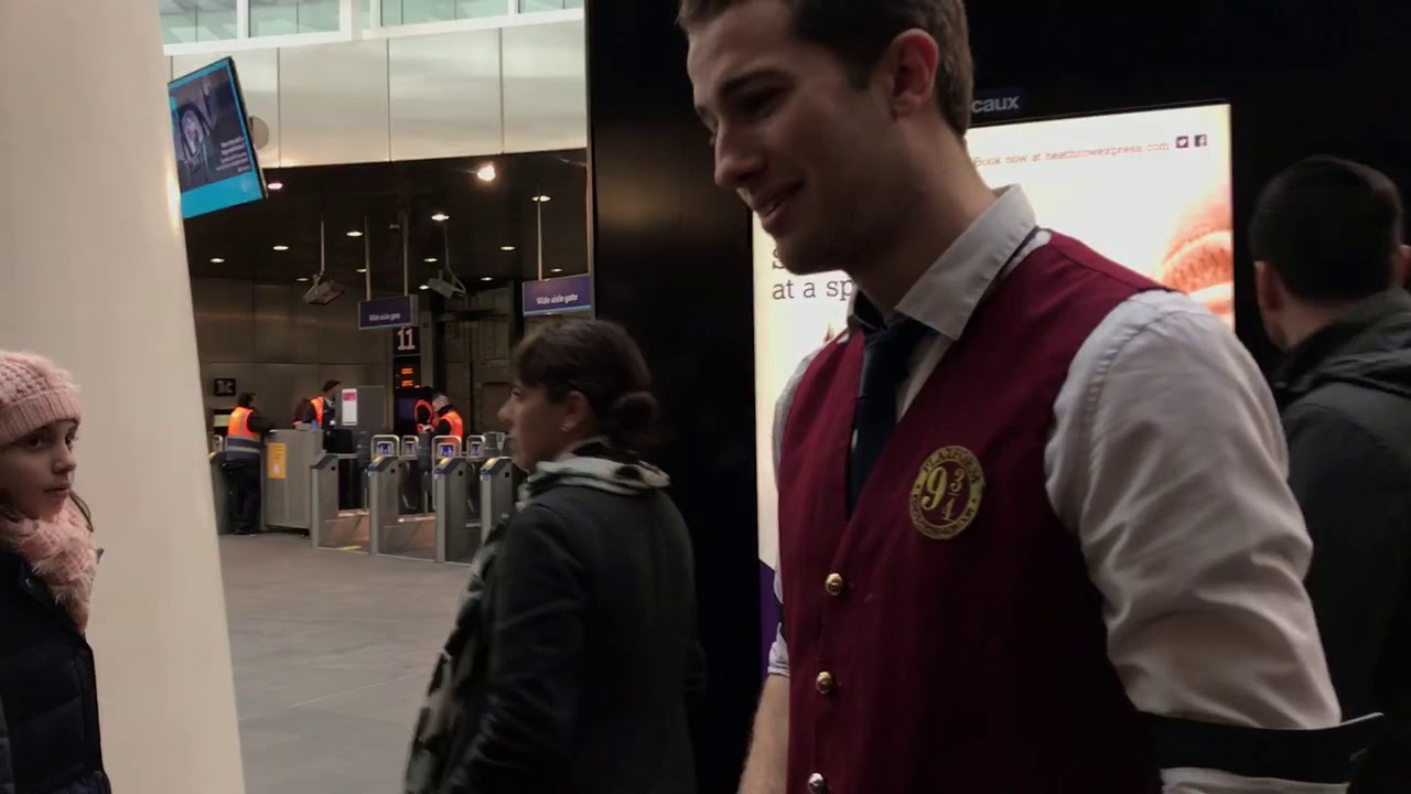 The Flying Golden Snitch