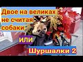 Двое на велах, не считая собаки. или Шуршалки 2