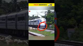 Train vs Animal | Real Tragic Moment Caught on Camera |