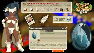 AVENTURE DOFUS RETRO MONOCOMPTE SAISONNIER - JOUR 29