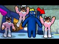 i NUOVI SEGRETI di ROBLOX RAINBOW FRIENDS
